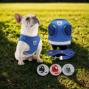 Coleira peitoral para cachorro com guia de passeio colete reflexivo regulável