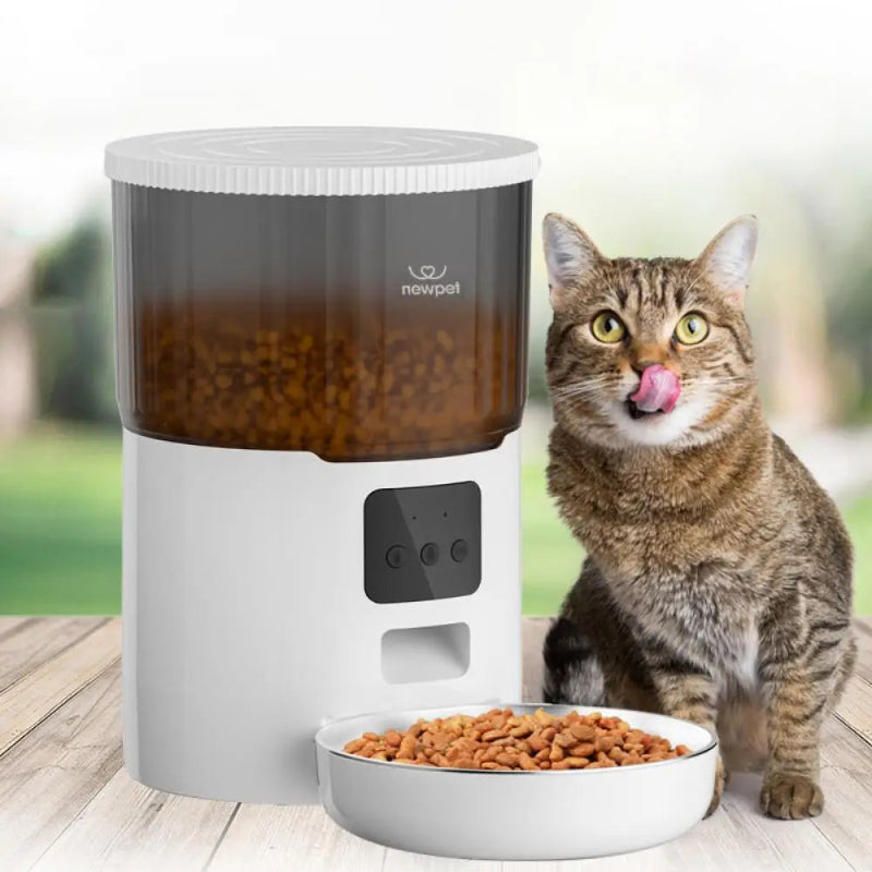 Alimentador de temporização para gatos 4L, aplicativo inteligente, alimentador de cães e gatos, aço inoxidável, alimentação remota, dispensador automático, para animais de estimação