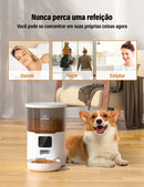 Alimentador automático de 4 litros para gatos, com Wi-Fi Newpet